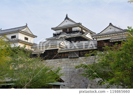 Japan's 100 Great Castles / Matsuyama Castle 119865660