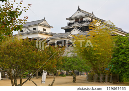日本的100座大城堡/松山城 119865663