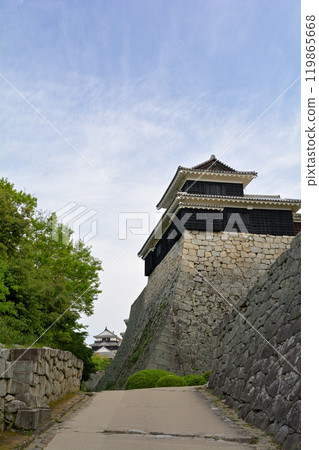 Japan's 100 Great Castles / Matsuyama Castle Japan's 100 Great Castles / Matsuyama Castle 119865668
