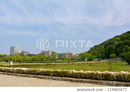 Japan's 100 Great Castles / Matsuyama Castle Japan's 100 Great Castles / Matsuyama Castle 119865677