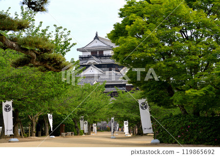 日本的100座大城堡/松山城 119865692