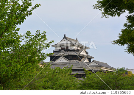 日本的100座大城堡/松山城 119865693