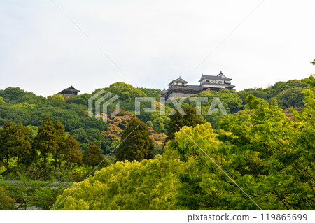 日本的100座大城堡/松山城 119865699
