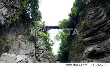 Kai no Saruhashi Bridge: View from a sightseeing boat Kai no Saruhashi Bridge: View from a sightseeing boat 119865712