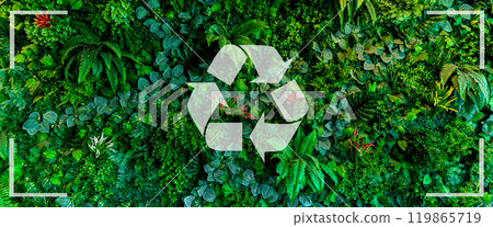 Recycle symbol on the forest background . Ecological concept. Ecology. Recycle and Zero waste symbol in the untouched jungle for Sustainable environment Recycle symbol on the forest background . Ecological concept. Ecology. Recycle and Zero waste symbol in the untouched jungle for Sustainable environment 119865719