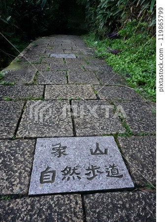 香山自然教育步道(台灣台北市信義區) 香山自然教育步道(台灣台北市信義區) 119865799