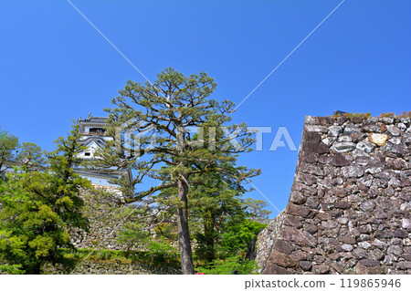 日本的100座大城堡/高知城堡 119865946