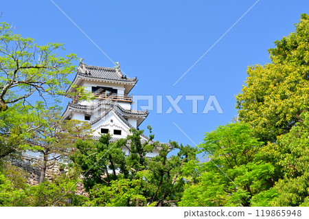 Japan's 100 Great Castles / Kochi Castle Japan's 100 Great Castles / Kochi Castle 119865948