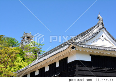 日本的100座大城堡/高知城堡 日本的100座大城堡/高知城堡 119865953