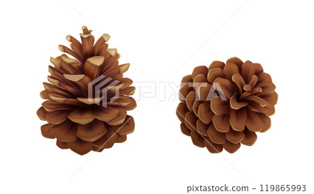 Pinecones from coniferous tree realistic vector icons set Pinecones from coniferous tree realistic vector icons set 119865993