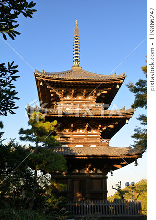 橫濱三溪園 119866242