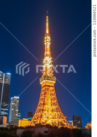 "Tokyo" Illuminated Tokyo Tower at night 119866521