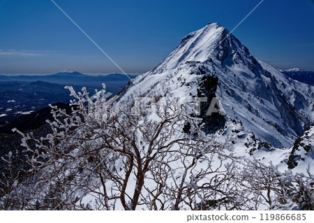 View of frost-covered trees, the Yatsugatake mountain range, Mount Akadake, and Mount Fuji 119866685