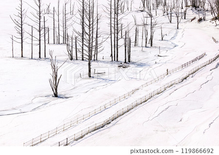 An old road along Lake Shuparo covered in snow, Yubari, Hokkaido [April] 119866692