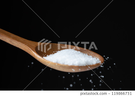 Salt salt 119866731