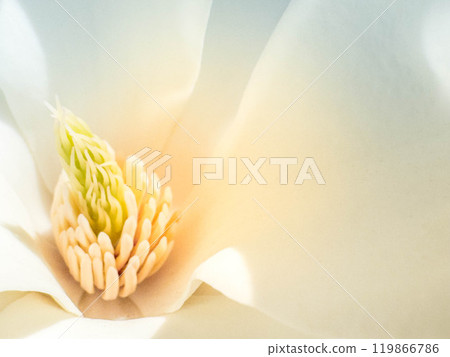 特寫信義~早春~ 特寫信義~早春~ 119866786