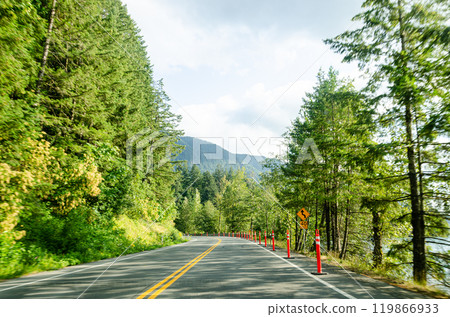 Cultus lake park road lined with pine trees in Chilliwack, Fraser Valley, BC, Canada Cultus lake park road lined with pine trees in Chilliwack, Fraser Valley, BC, Canada 119866933