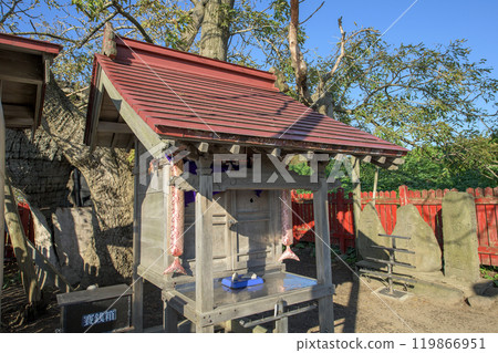 青森縣已有 1000 多年歷史的老白蠟樹和神社 青森縣已有 1000 多年歷史的老白蠟樹和神社 119866951