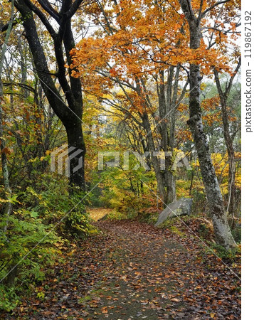 The autumnal astragalus swamp 119867192