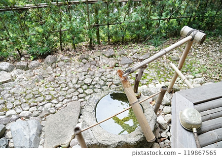 滋賀縣、大津、源壽庵鹿市（初秋） 119867565