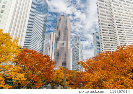 「東京」西新宿建築物的秋天風景 - 新宿 「東京」西新宿建築物的秋天風景 - 新宿 119867614