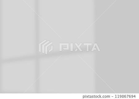 Wall interior background, studio and backdrops show products.with shadow from window color white and grey. background for text insertion and presentation product Wall interior background, studio and backdrops show products.with shadow from window color white and grey. background for text insertion and presentation product 119867694