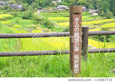 [坂織梯田] 岐阜縣惠那市中之形町 119867714