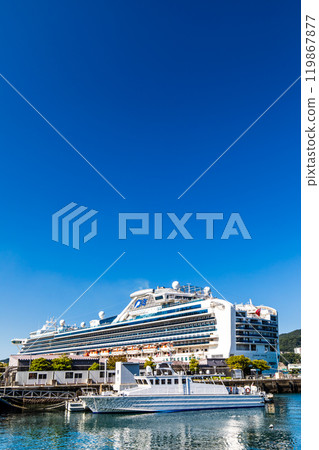 長崎港客船抵達（鑽石公主號）水部之森公園【長崎市】 119867877