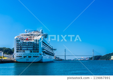 長崎港客船抵達（鑽石公主號）水部之森公園【長崎市】 119867891