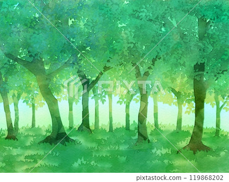 鬱鬱蔥蔥的綠色森林水彩風格風景插畫 119868202