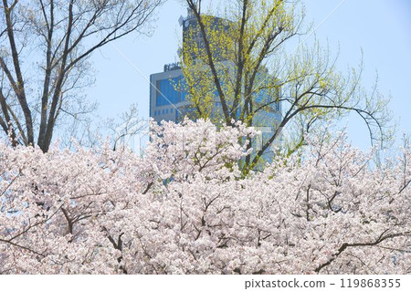 被建築物包圍的城市景觀 被建築物包圍的城市景觀 119868355
