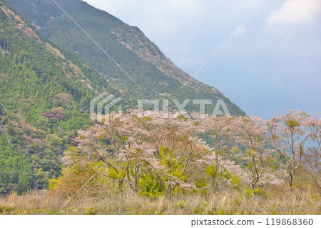 山中之山 119868360