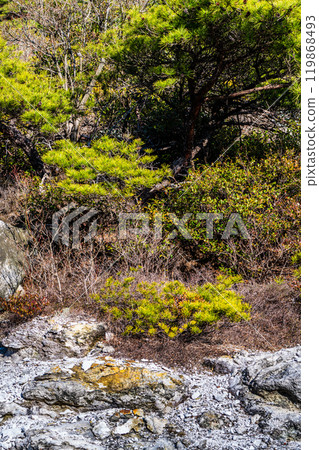 雲仙地獄 大糸地獄【長崎縣雲仙市】 119868493