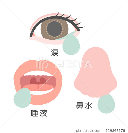 眼睛、嘴巴、鼻子、眼淚、流鼻涕、唾液插圖（附說明） 119868676