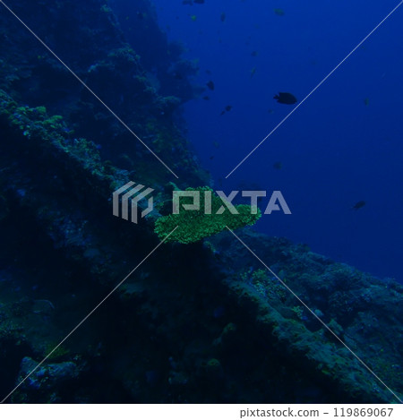 [Indonesia] Coral reefs and sunken ships 119869067