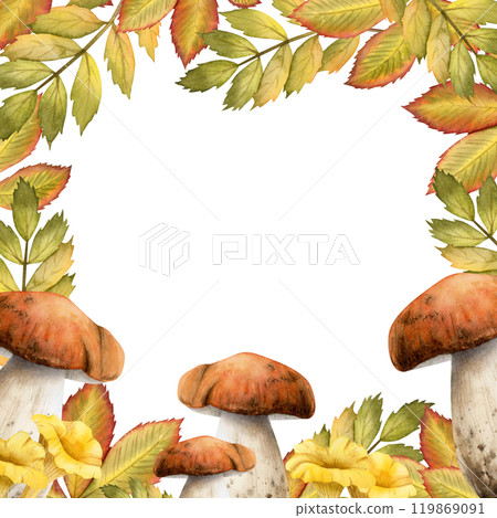 Porcini brown mushrooms and chanterelles with fall rowan leaves in orange and green colors square frame template isolated on white. Forest edible boletus fungus. Hand drawn woodland botanical sketch 119869091