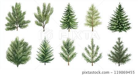 樅樹水彩套裝 樅樹水彩套裝 119869455