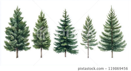 樅樹水彩套裝 樅樹水彩套裝 119869456