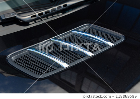 Close-up of chrome-plated air intakes on the hood 119869589