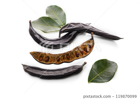 Ripe carob pods and bean isolated on white background. Ripe carob pods and bean isolated on white background. 119870099