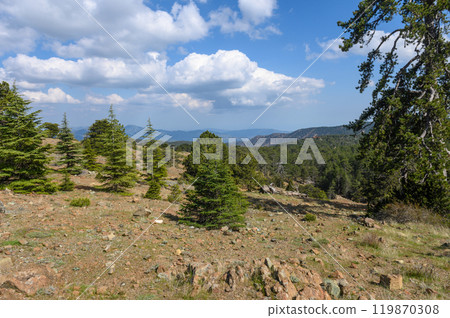 The Mount Olympus, highest peak of the island of Cyprus. Troodos mountains 119870308