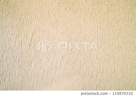 Plaster texture with glossy white acrylic exterior painting. 119870310