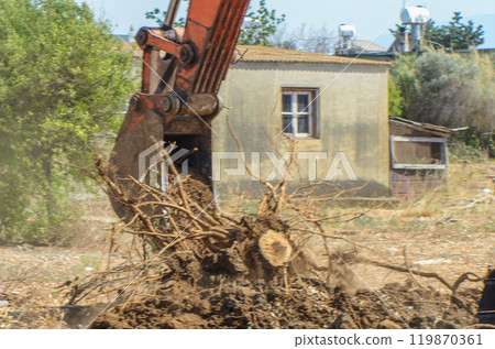 Gazeveren Cyprus 03.07.2024 - excavator uproots the roots of orange trees 119870361