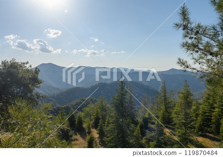 View of the fields, forest and mountains through the branches of a coniferous tree 119870484