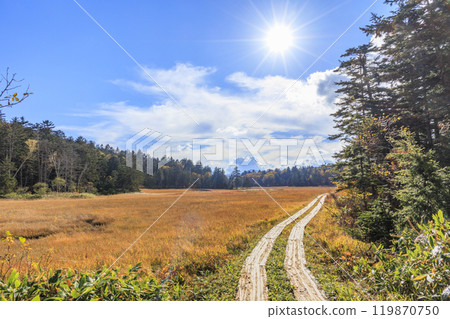 Autumn in Oze: Autumn foliage in the grass and forest, Numayama Pass to Lake Oze Autumn in Oze: Autumn foliage in the grass and forest, Numayama Pass to Lake Oze 119870750