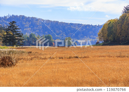 秋天的尾瀨，草地上的秋葉和森林裡的秋葉，沼山峠 - 大瀨沼 119870766