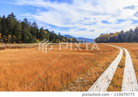 Autumn in Oze: Autumn foliage in the grass and forest, Numayama Pass to Lake Oze Autumn in Oze: Autumn foliage in the grass and forest, Numayama Pass to Lake Oze 119870775