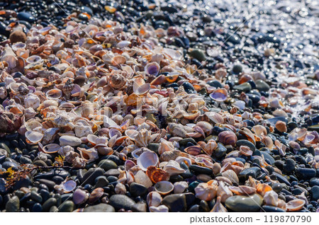 A sun-drenched beach with a coconut-lime scented candle. 119870790