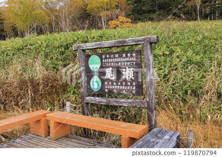 Autumn in Oze: Autumn foliage in the grass and forest, Numayama Pass to Lake Oze 119870794