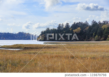 Autumn in Oze: Autumn foliage in the grass and forest, Numayama Pass to Lake Oze Autumn in Oze: Autumn foliage in the grass and forest, Numayama Pass to Lake Oze 119870798
